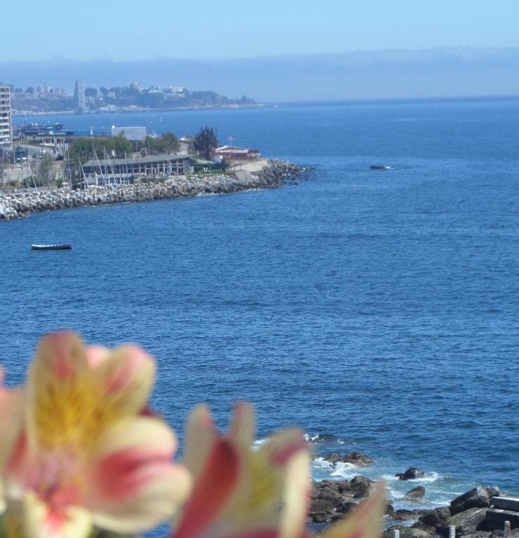 Domus Mare Hotel Vina del Mar Oda fotoğraf